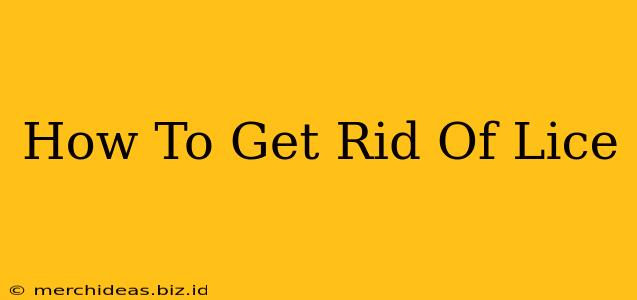 How To Get Rid Of Lice