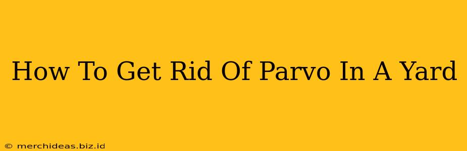 How To Get Rid Of Parvo In A Yard