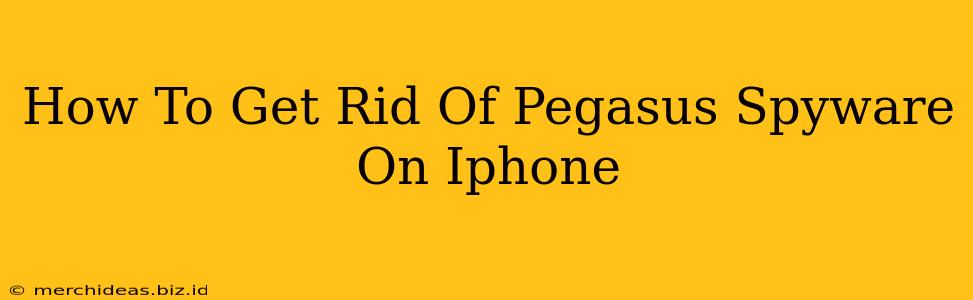 How To Get Rid Of Pegasus Spyware On Iphone