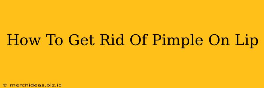 How To Get Rid Of Pimple On Lip