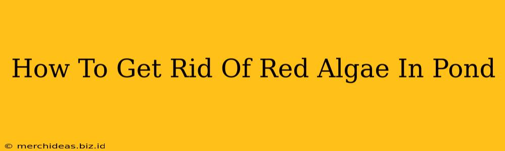 How To Get Rid Of Red Algae In Pond