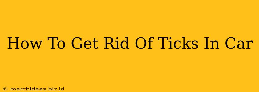 How To Get Rid Of Ticks In Car