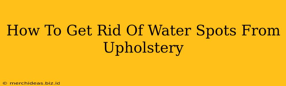 How To Get Rid Of Water Spots From Upholstery