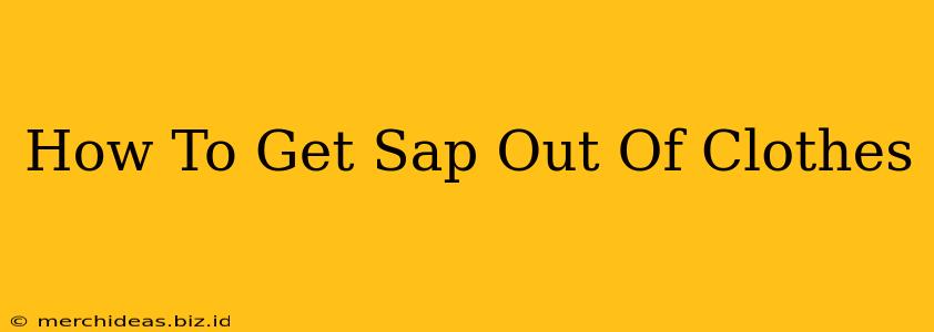 How To Get Sap Out Of Clothes