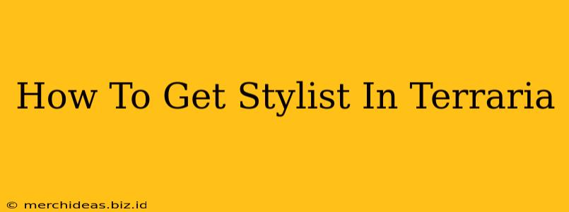 How To Get Stylist In Terraria