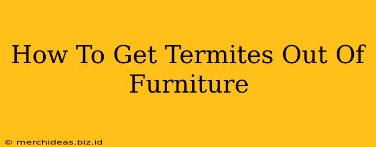 How To Get Termites Out Of Furniture