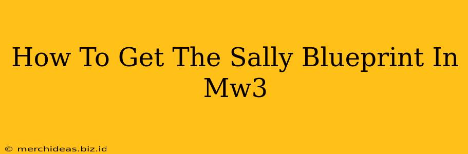 How To Get The Sally Blueprint In Mw3