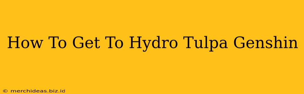 How To Get To Hydro Tulpa Genshin