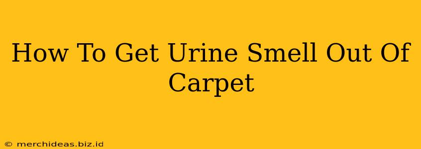 How To Get Urine Smell Out Of Carpet