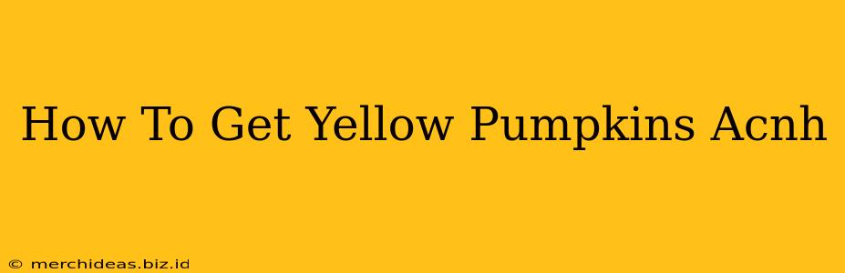 How To Get Yellow Pumpkins Acnh