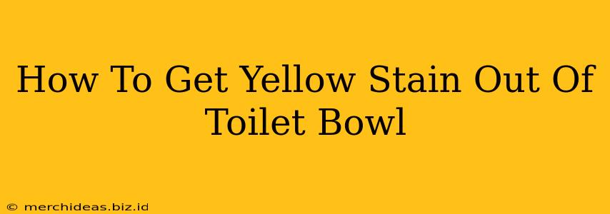 How To Get Yellow Stain Out Of Toilet Bowl