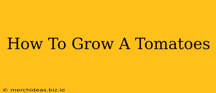 How To Grow A Tomatoes