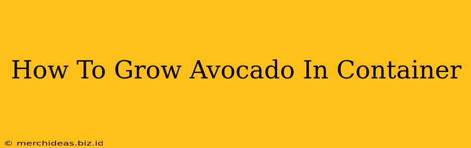 How To Grow Avocado In Container