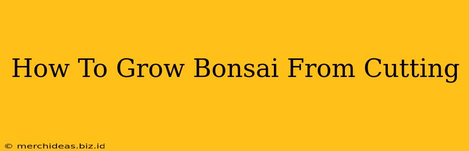 How To Grow Bonsai From Cutting