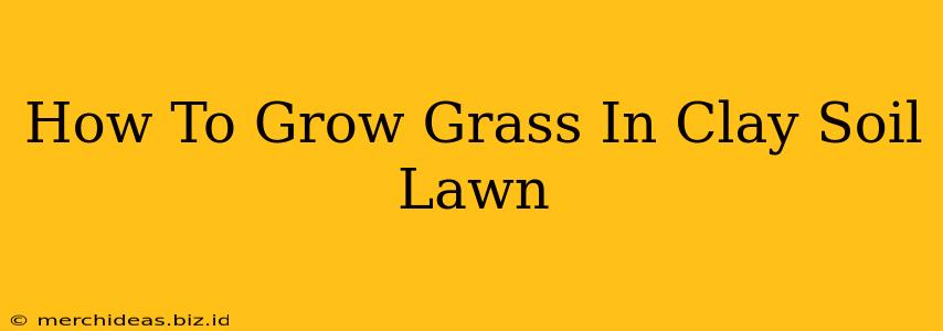 How To Grow Grass In Clay Soil Lawn