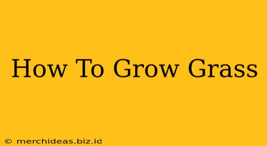 How To Grow Grass