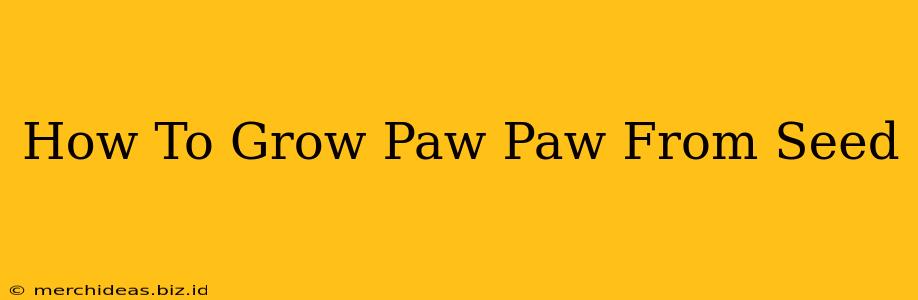 How To Grow Paw Paw From Seed
