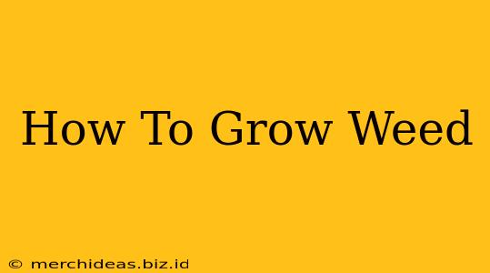 How To Grow Weed