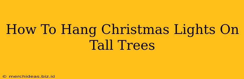 How To Hang Christmas Lights On Tall Trees
