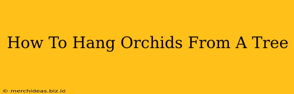 How To Hang Orchids From A Tree