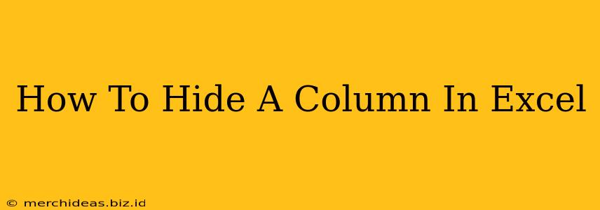 How To Hide A Column In Excel