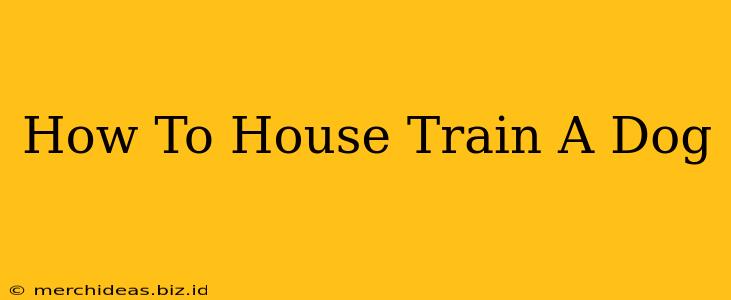 How To House Train A Dog