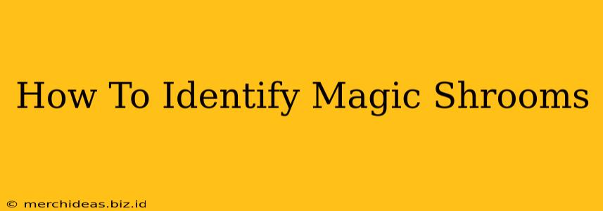 How To Identify Magic Shrooms