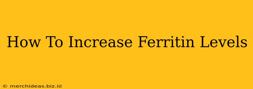 How To Increase Ferritin Levels