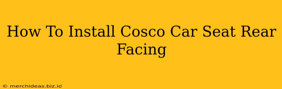 How To Install Cosco Car Seat Rear Facing