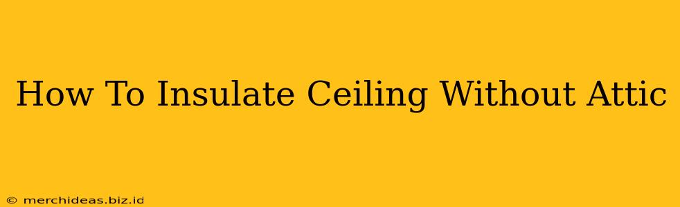 How To Insulate Ceiling Without Attic