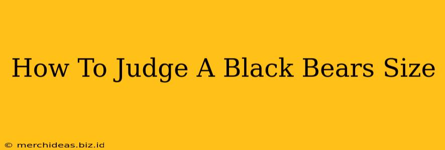 How To Judge A Black Bears Size