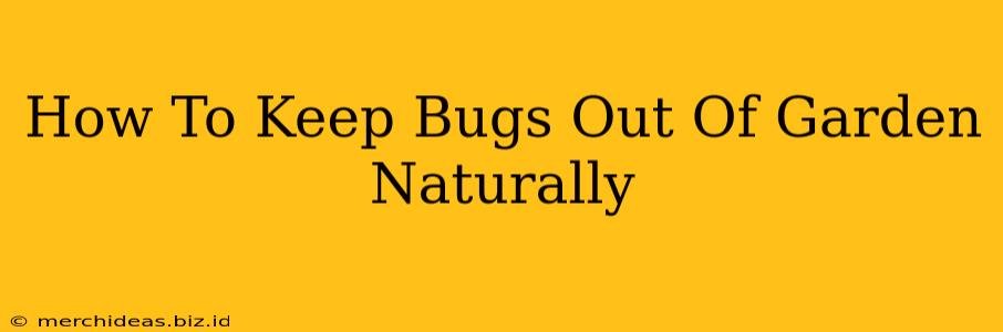 How To Keep Bugs Out Of Garden Naturally