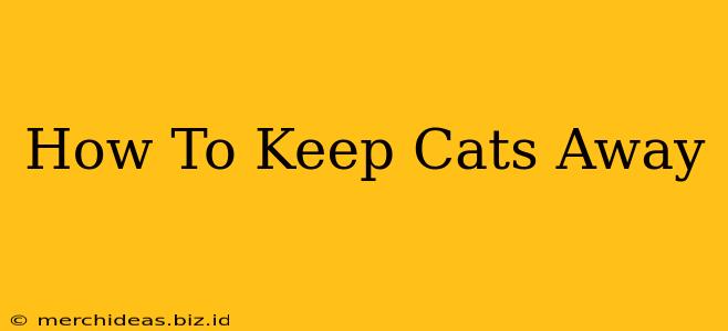 How To Keep Cats Away