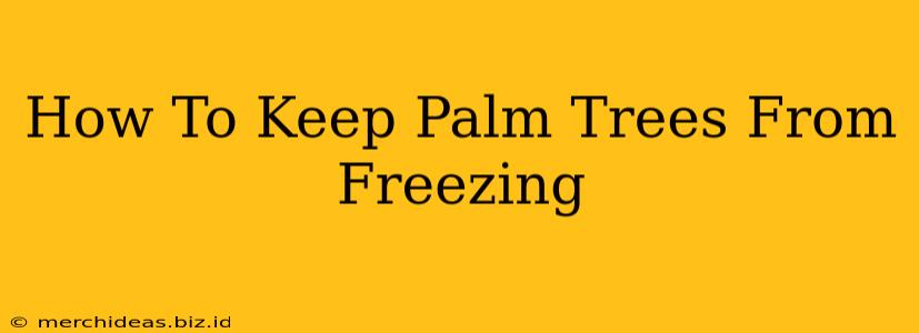 How To Keep Palm Trees From Freezing