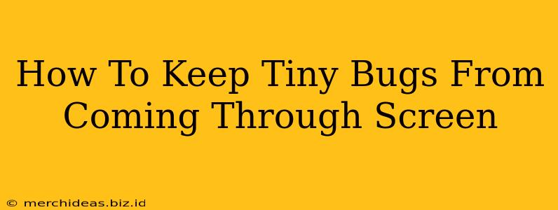 How To Keep Tiny Bugs From Coming Through Screen