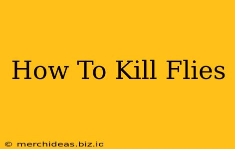 How To Kill Flies