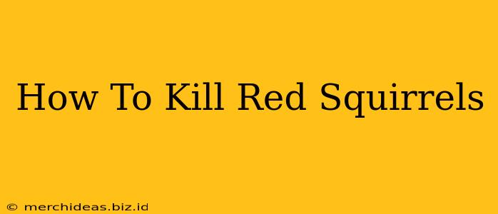 How To Kill Red Squirrels