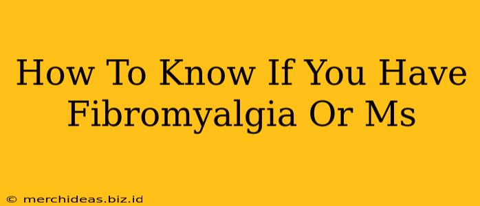 How To Know If You Have Fibromyalgia Or Ms