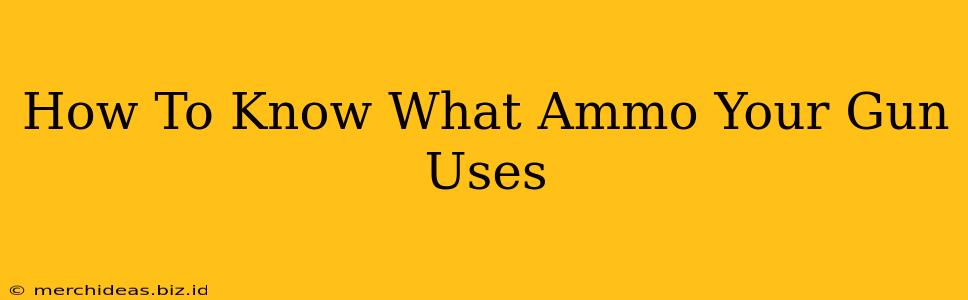 How To Know What Ammo Your Gun Uses
