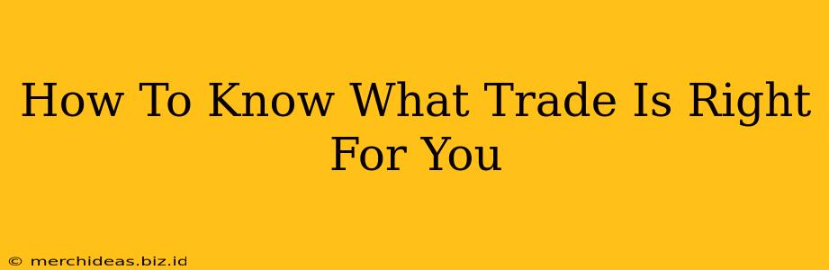 How To Know What Trade Is Right For You