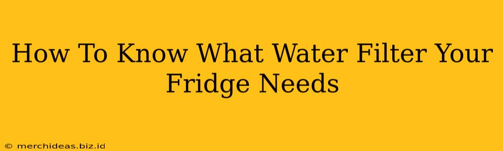 How To Know What Water Filter Your Fridge Needs