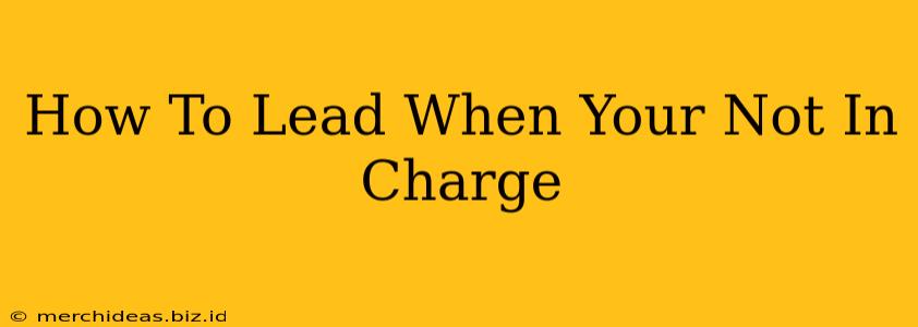 How To Lead When Your Not In Charge