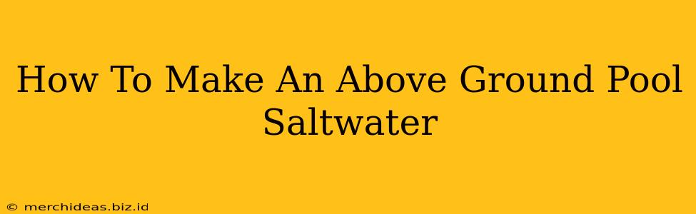 How To Make An Above Ground Pool Saltwater