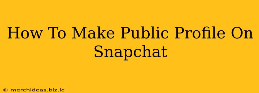 How To Make Public Profile On Snapchat