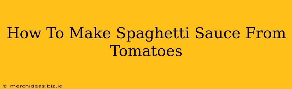 How To Make Spaghetti Sauce From Tomatoes