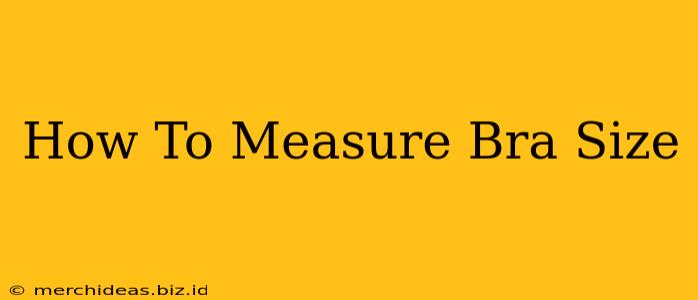 How To Measure Bra Size