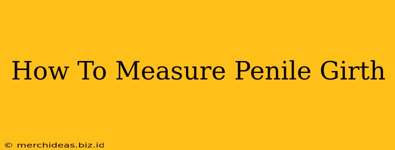 How To Measure Penile Girth