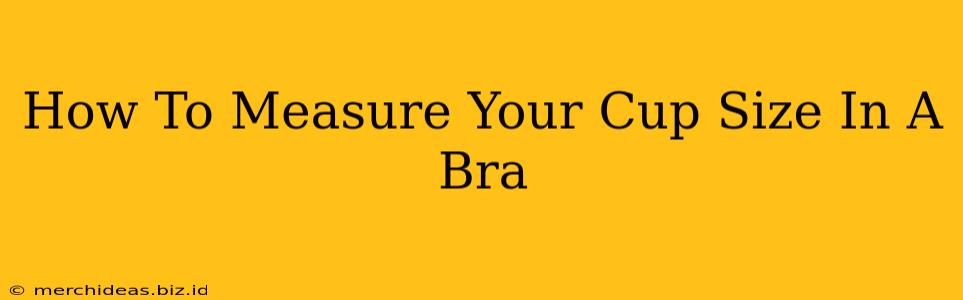 How To Measure Your Cup Size In A Bra