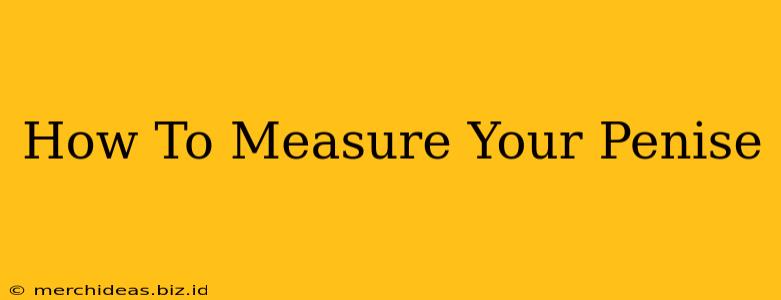 How To Measure Your Penise