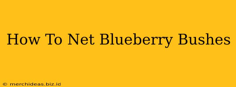 How To Net Blueberry Bushes